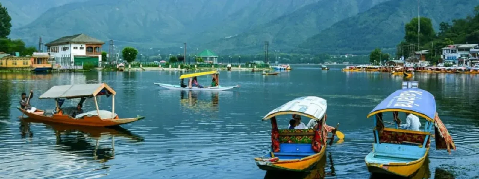 Kashmir