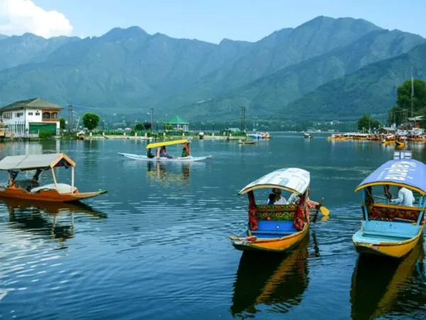 Kashmir