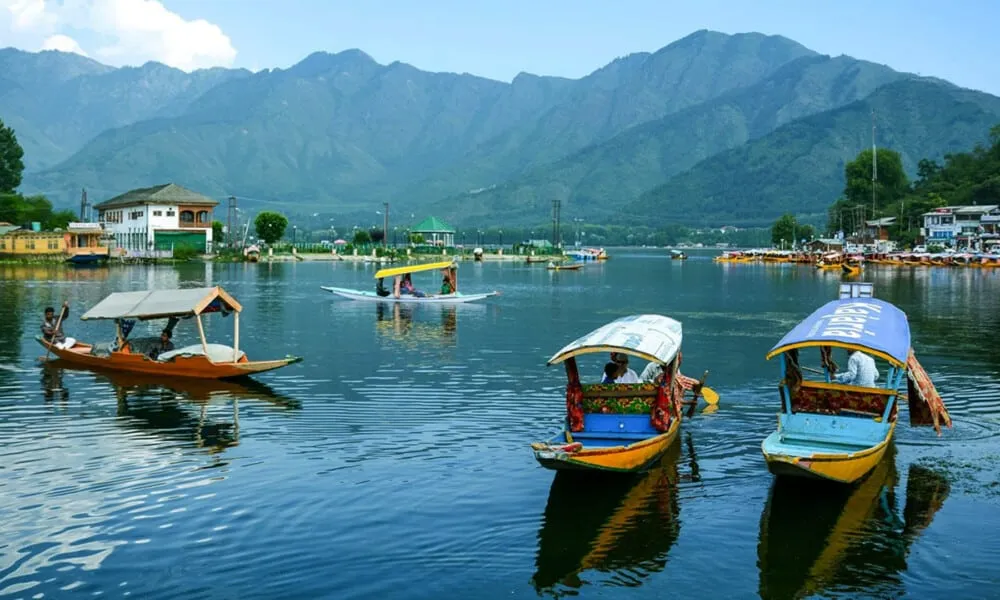 Kashmir