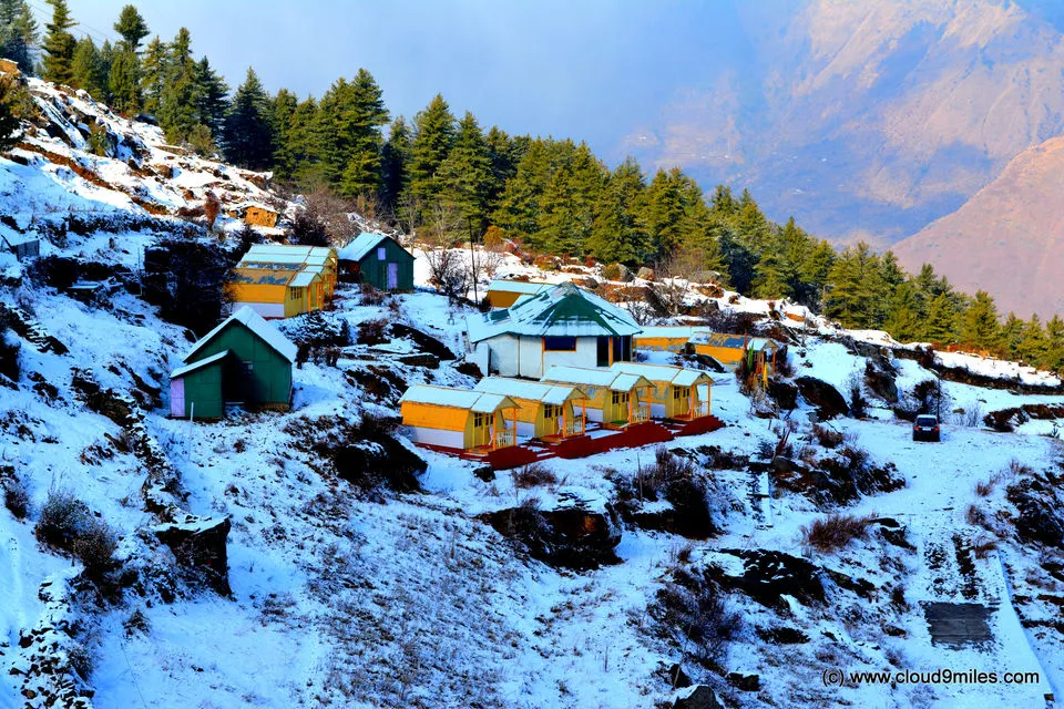 Auli