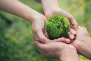 Environmental Safety & Responsible Travel