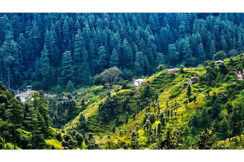 Ranikhet